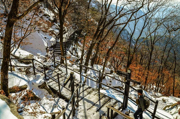 liburan-musim-dingin-di-korea